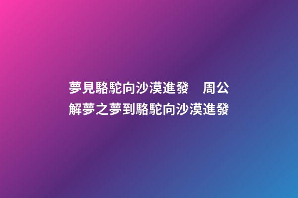 夢見駱駝向沙漠進發　周公解夢之夢到駱駝向沙漠進發